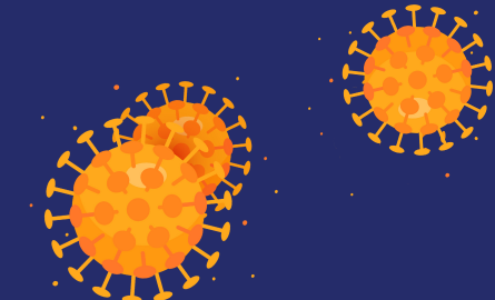 Cartoon-like virus molecules