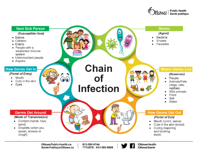 Chain of Infection picture