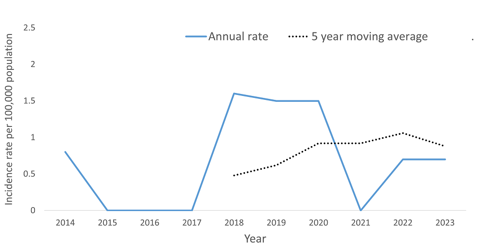 A line graph showing the crude rate and five year moving average of Hepatitis B, chronic by year within the Health Unit region between 2015 and 2024.