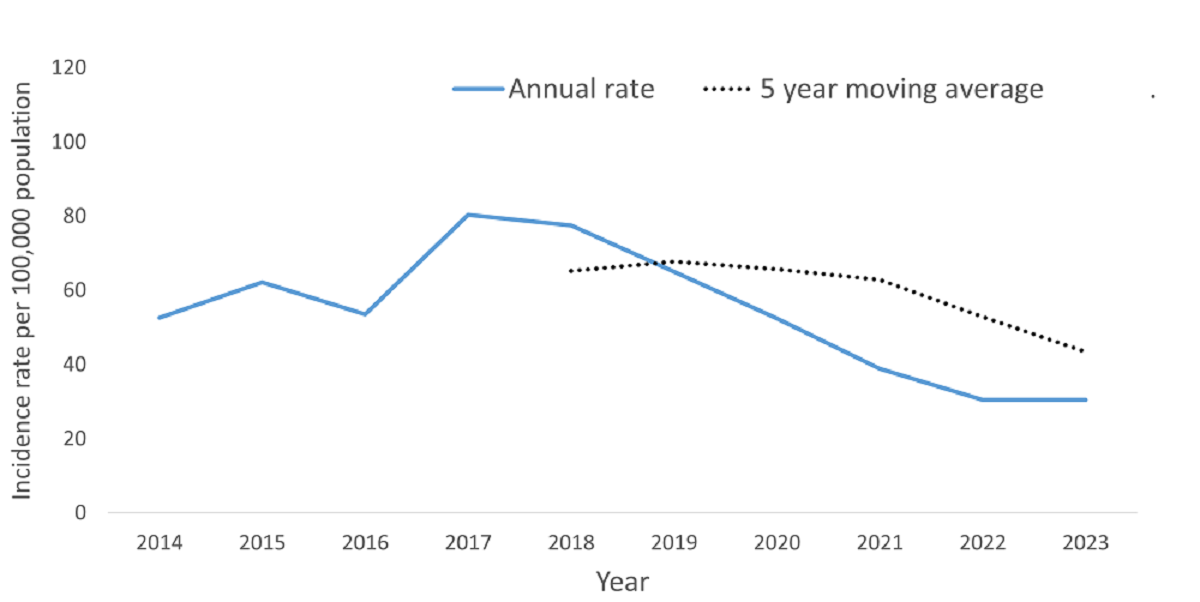 A line graph showing the crude rate and five year moving average of Hepatitis C by year within the Health Unit region between 2015 and 2024.